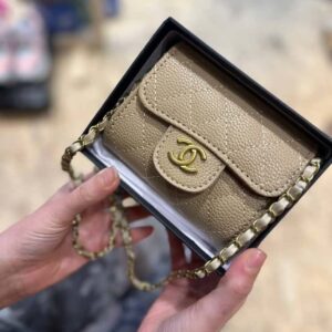 مینی بگ لاکچری برند CHANEL